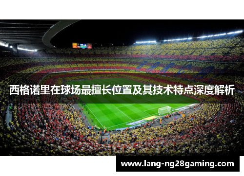 西格诺里在球场最擅长位置及其技术特点深度解析